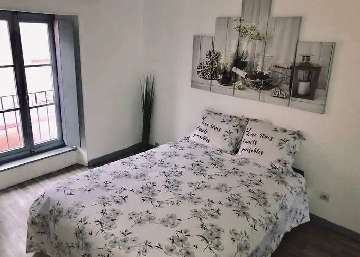 Apartamento Proche Cite Medievale 4 Pers *